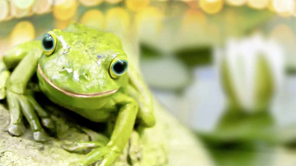 Photo by <a href="https://unsplash.com/@wrrobinson?utm_source=unsplash&utm_medium=referral&utm_content=creditCopyText">Wayne Robinson</a> Entspannungsgeschichte-Kinder